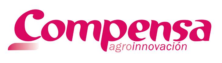 The fastest consulting service