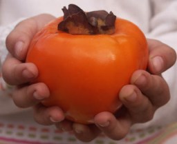 Compensa, Agroinnovación