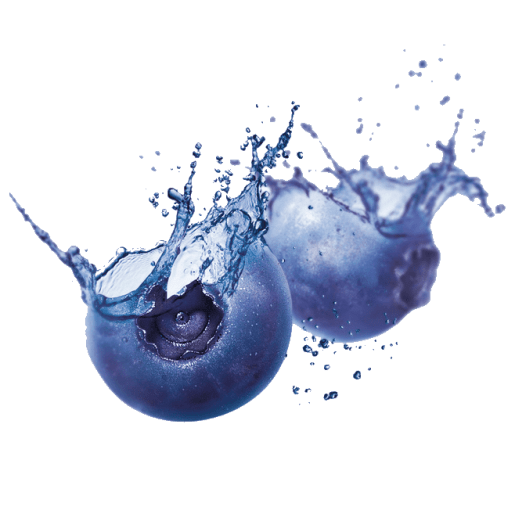 —Pngtree—blueberry_559508