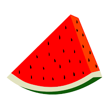 Watermelon compensa agro
